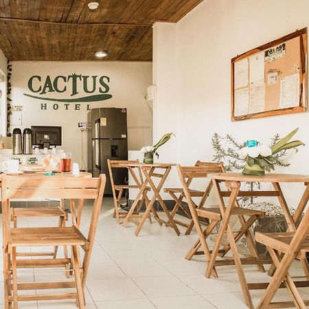 Hotel Cactus تاجانجا المظهر الخارجي الصورة