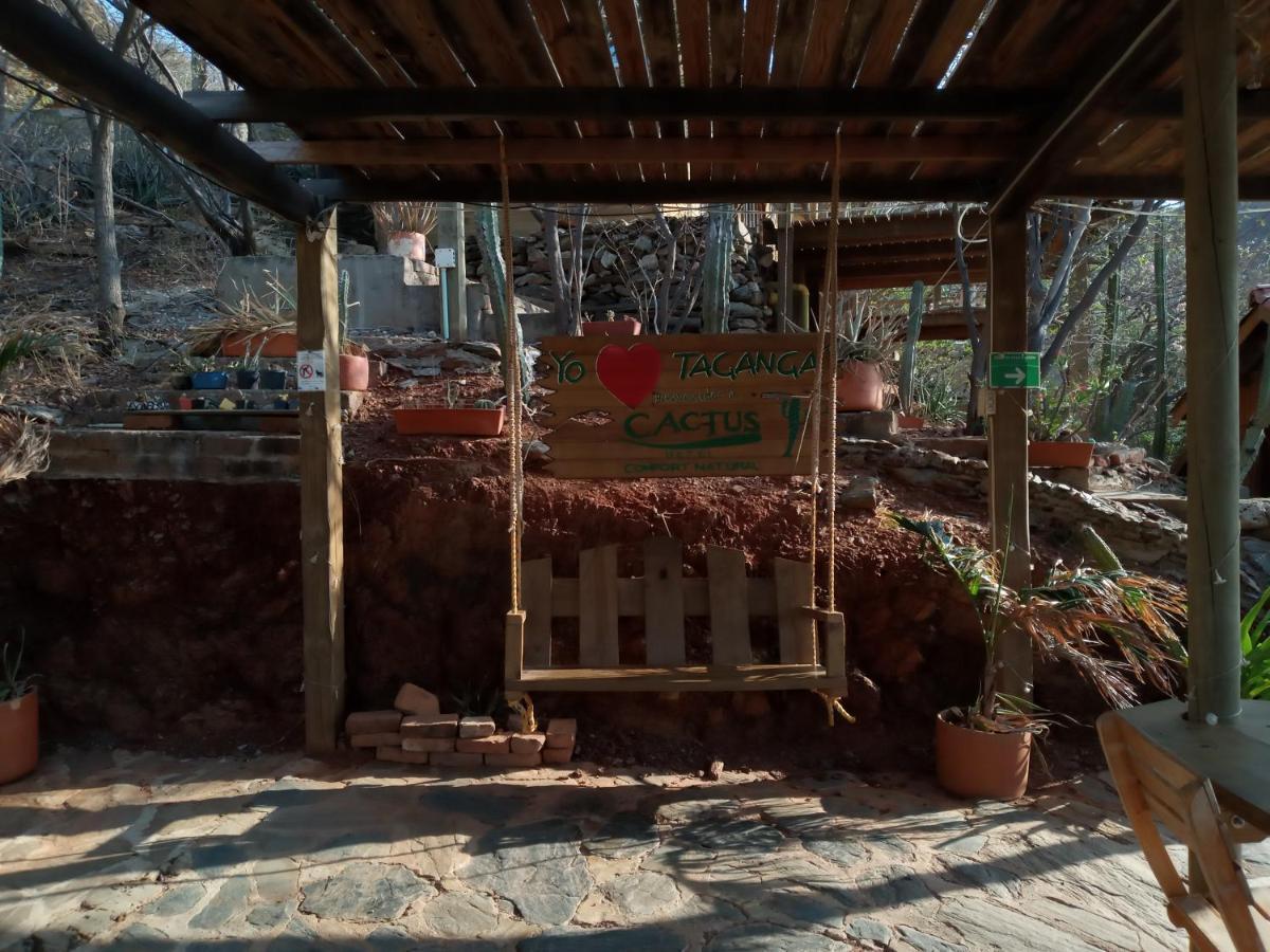 Hotel Cactus تاجانجا المظهر الخارجي الصورة