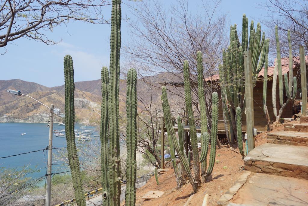 Hotel Cactus تاجانجا المظهر الخارجي الصورة