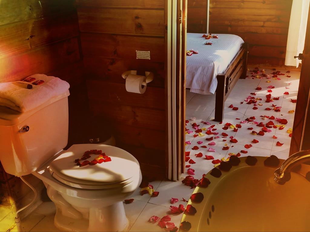 Hotel Cactus تاجانجا المظهر الخارجي الصورة