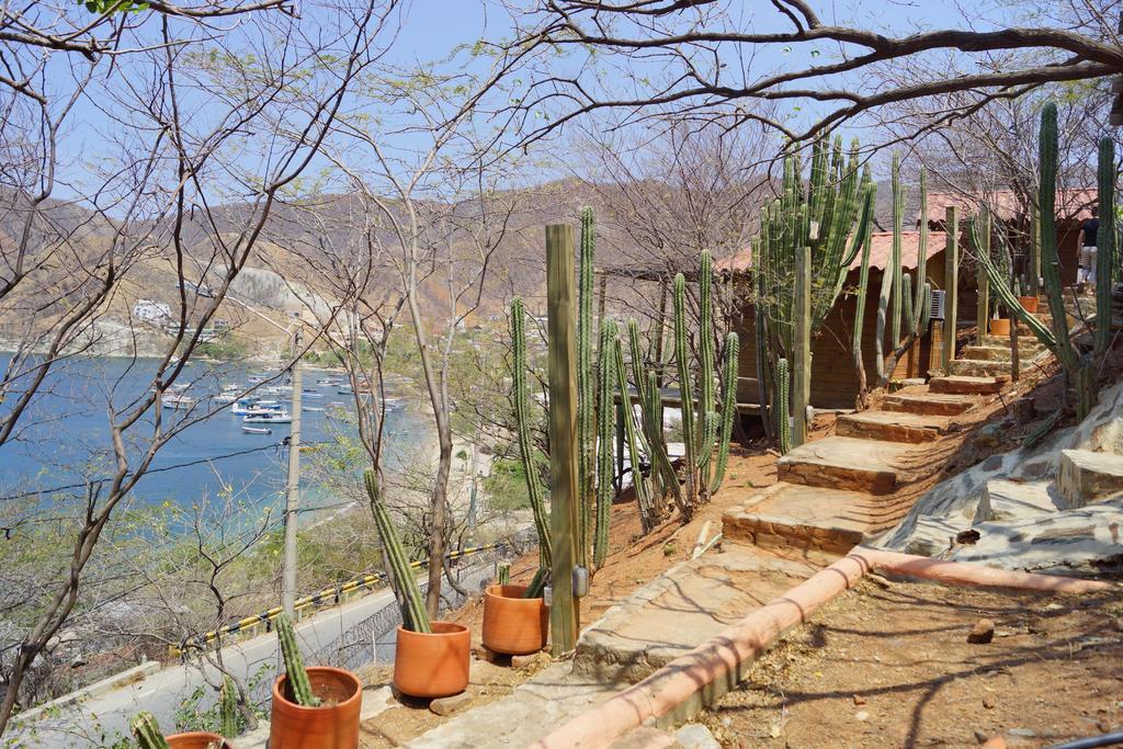 Hotel Cactus تاجانجا المظهر الخارجي الصورة