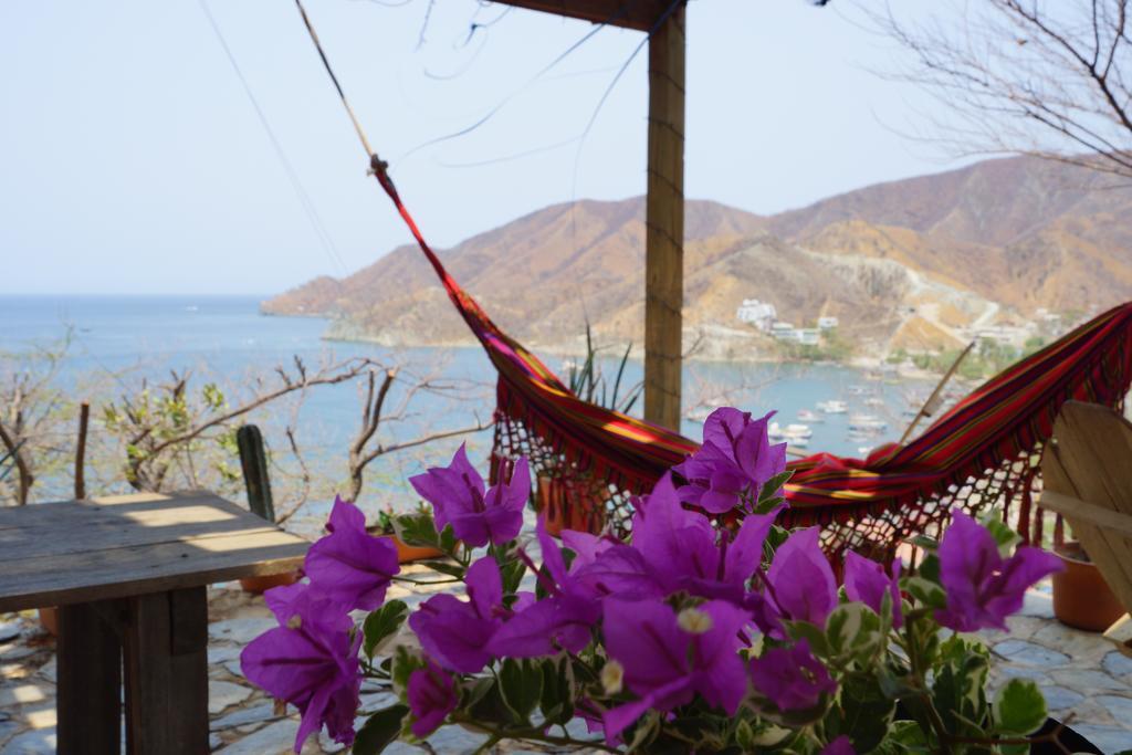 Hotel Cactus تاجانجا المظهر الخارجي الصورة