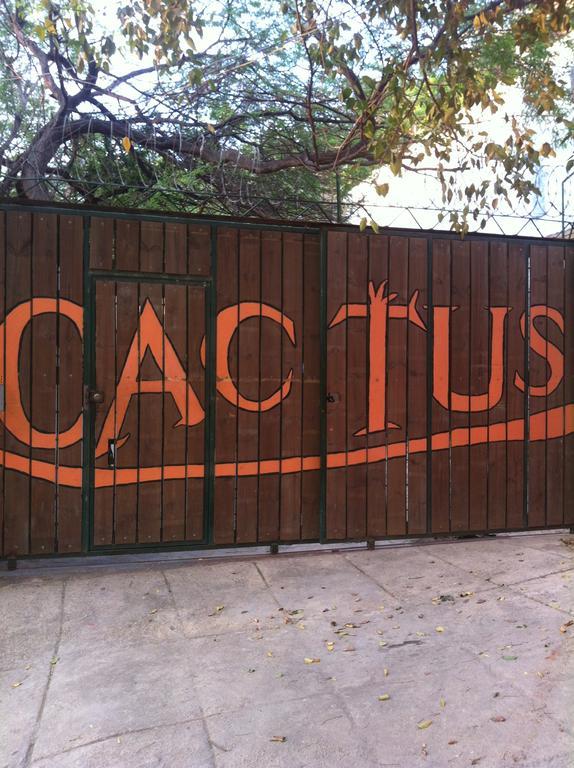 Hotel Cactus تاجانجا الغرفة الصورة