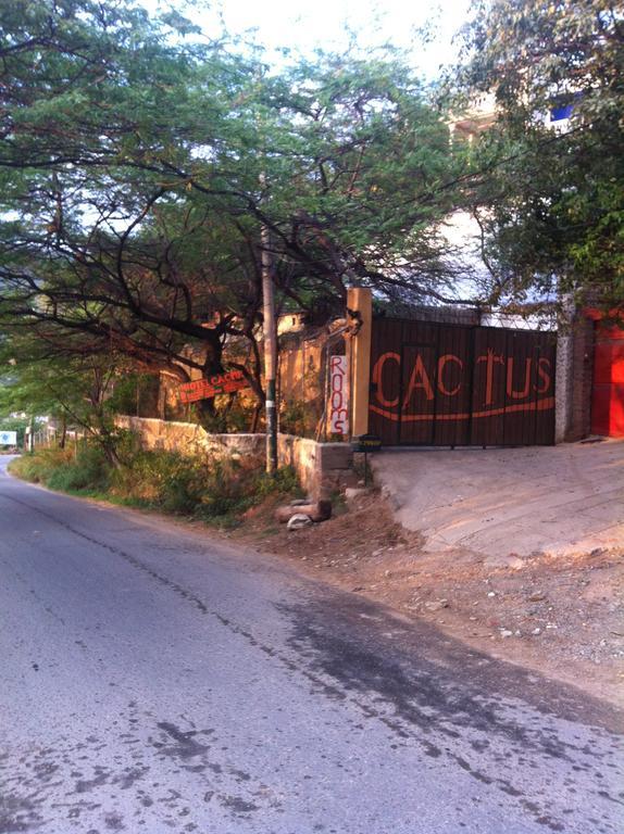 Hotel Cactus تاجانجا الغرفة الصورة